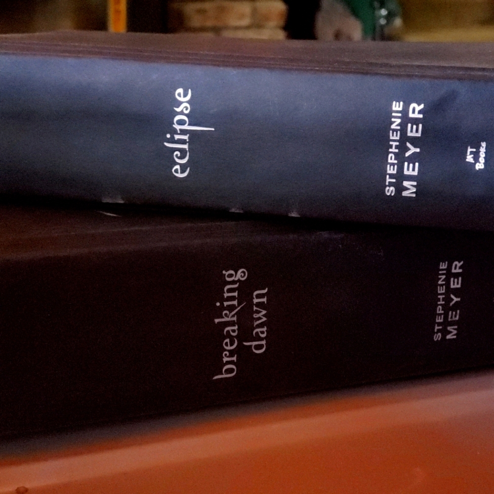 Twilight Saga: 2 BOOK BUNDLE!